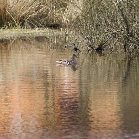 Dorf Stille - Huetten In Den Gaerten Magra -natur Dom wakacyjny