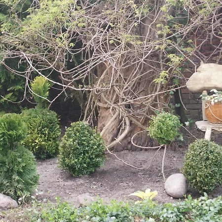 Dom wakacyjny Dorf Stille - Huetten In Den Gaerten Magra -natur