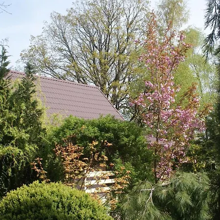 Dom wakacyjny Dorf Stille - Huetten In Den Gaerten Magra -natur